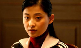 梅婷 电视剧,电视剧中的情感演绎者