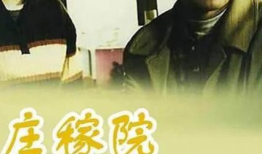 2000年的电视剧,2000年经典电视剧回顾
