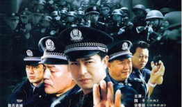 辛柏青演过的电视剧,深情演绎，塑造经典角色