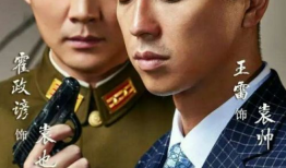 王雷主演的电视剧大全,情感与现实的交织演绎