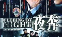 夜奔电视剧,江湖恩怨，情仇交织