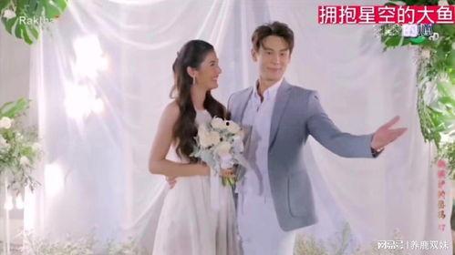 先婚后爱泰国电视剧,泰国甜蜜爱情喜剧的甜蜜邂逅